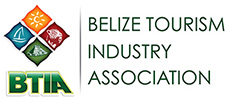 BTIA-logo